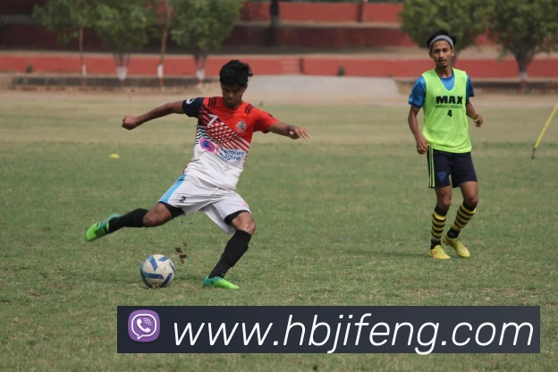 App Interface Preview