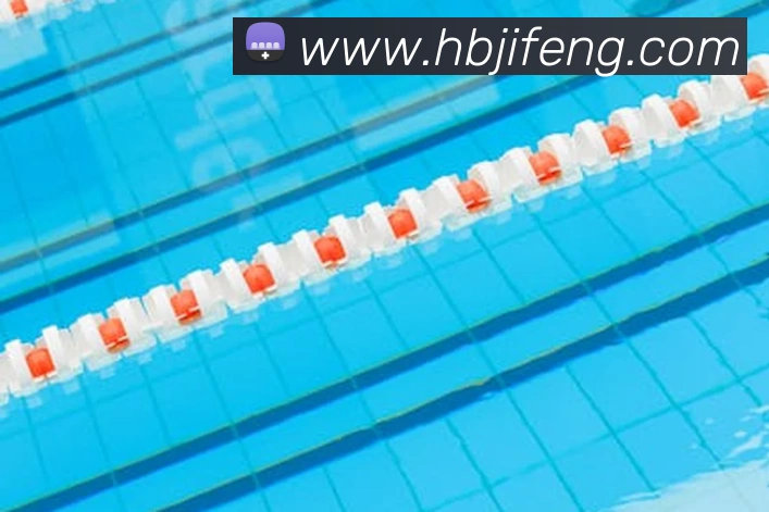 开云手机入口官方网站APP 封面图